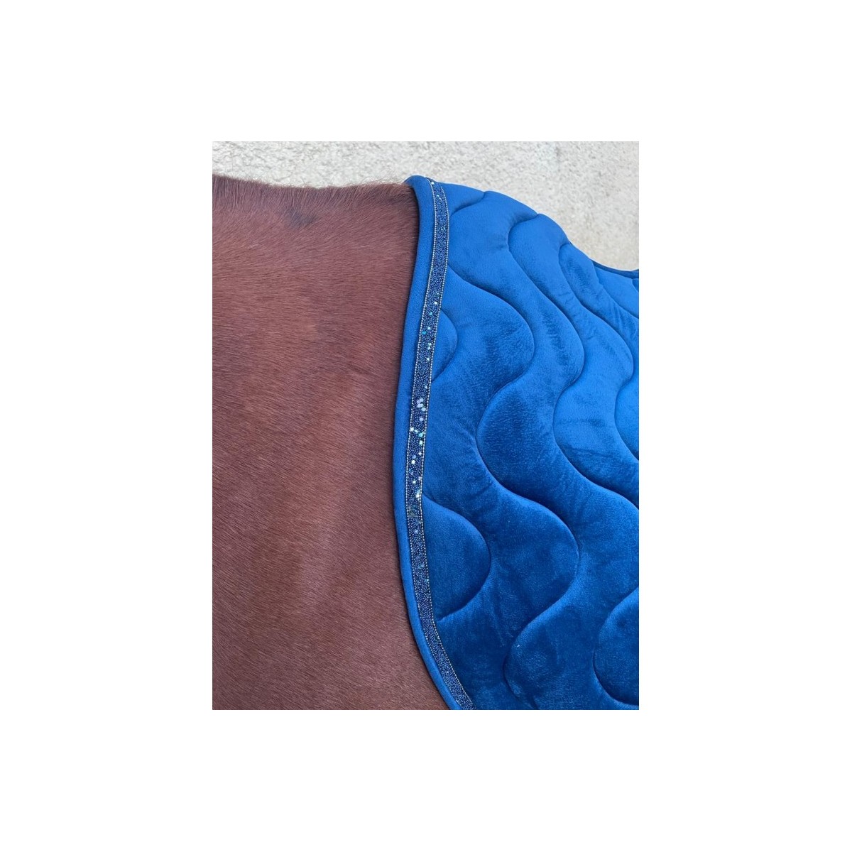 Tapis de selle CORAL VELOURS - Flags & Cup - Taille full - Coloris bleu - Broderie logo pas cher en petite quantité