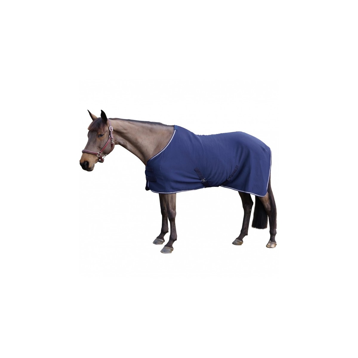 Chemise CANTER séchante - Taille 155 -  Coloris bleu - Broderie logo pas cher en petite quantité
